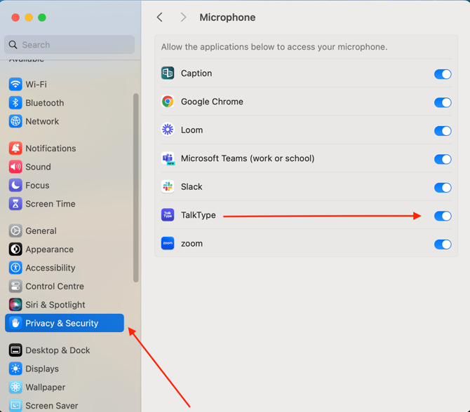 Privacy Settings for MacOS 2